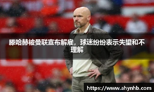 彩神官网